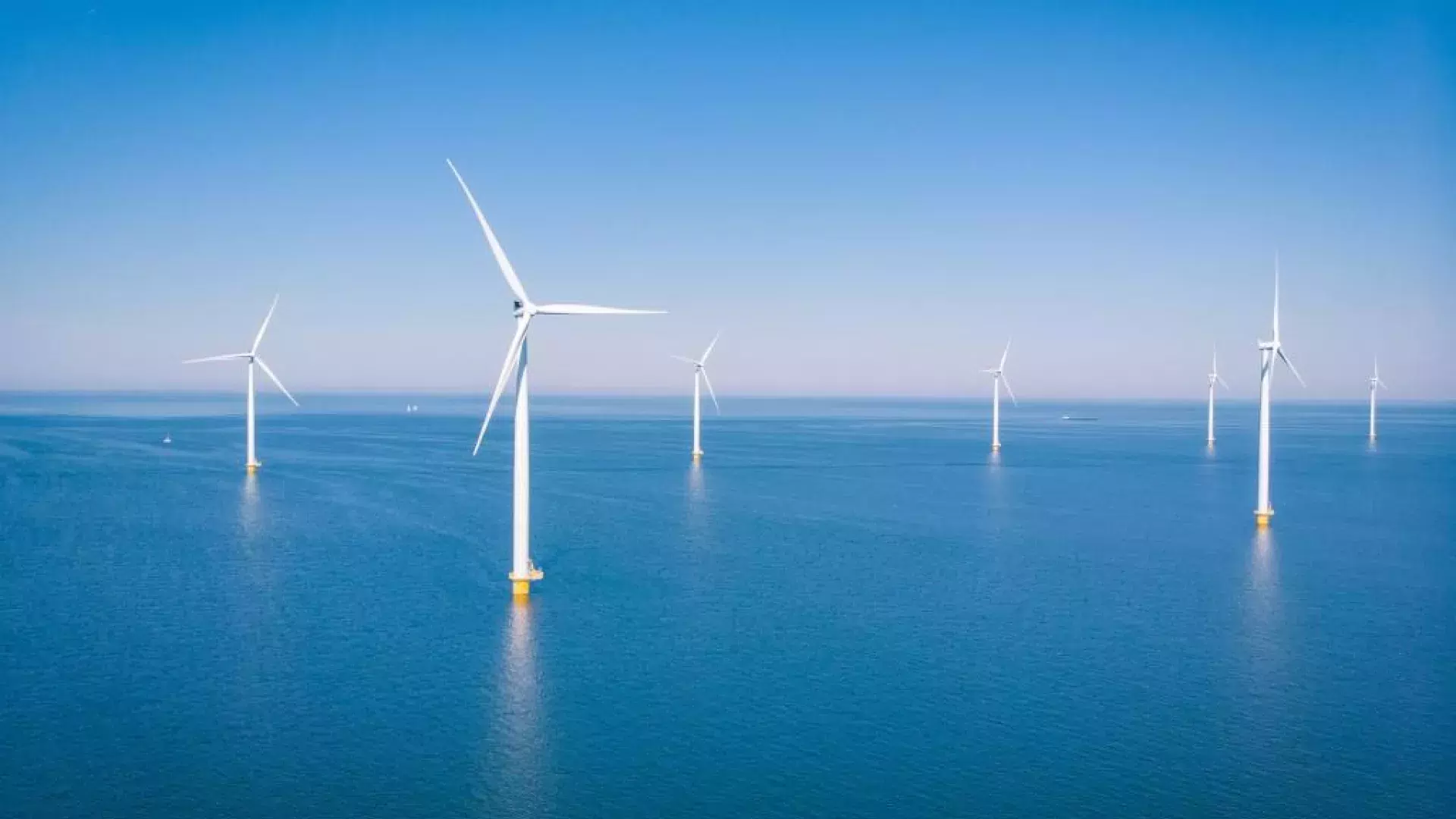 Windfarm in the sea