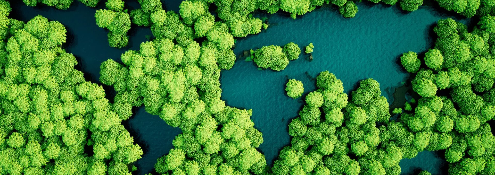 rainforest worldmap