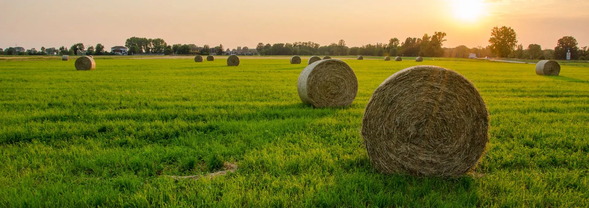 sunset on a field with straw bales