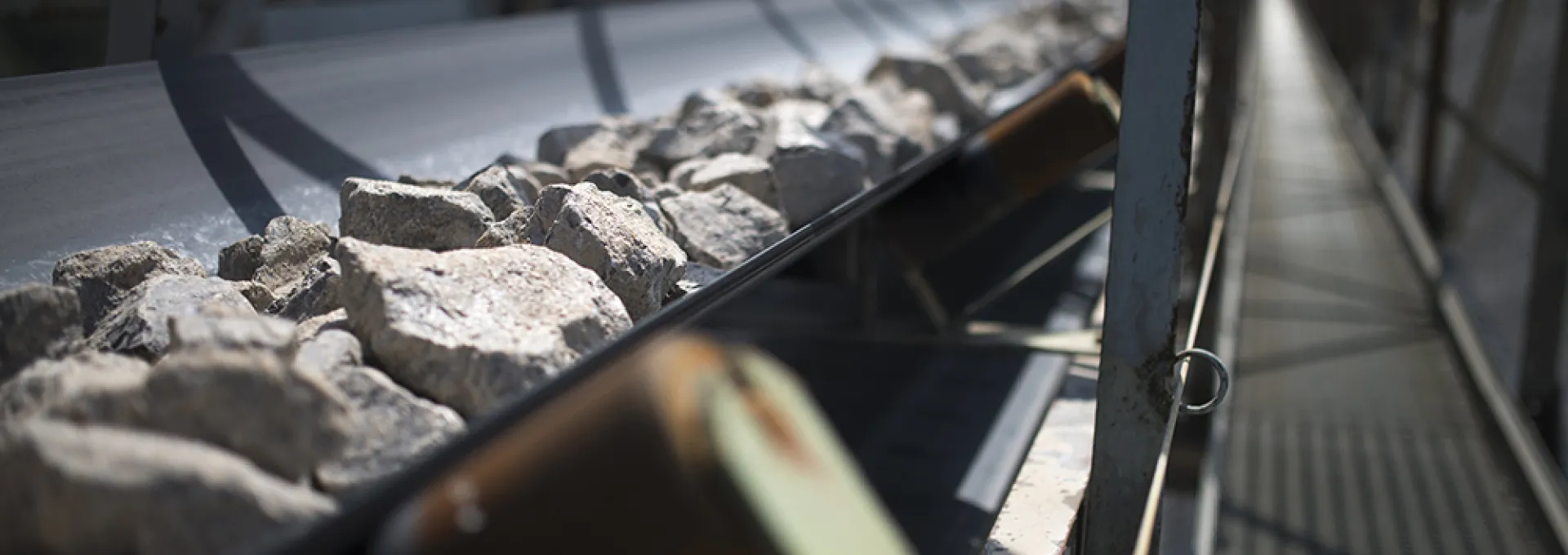 stones in a plant