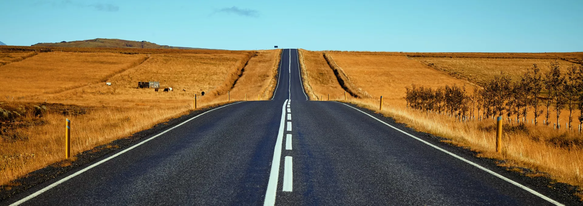 long road in the middle of nowhere surrounded by fields