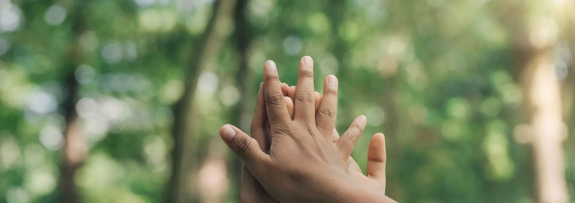 Three hands joining in the wood