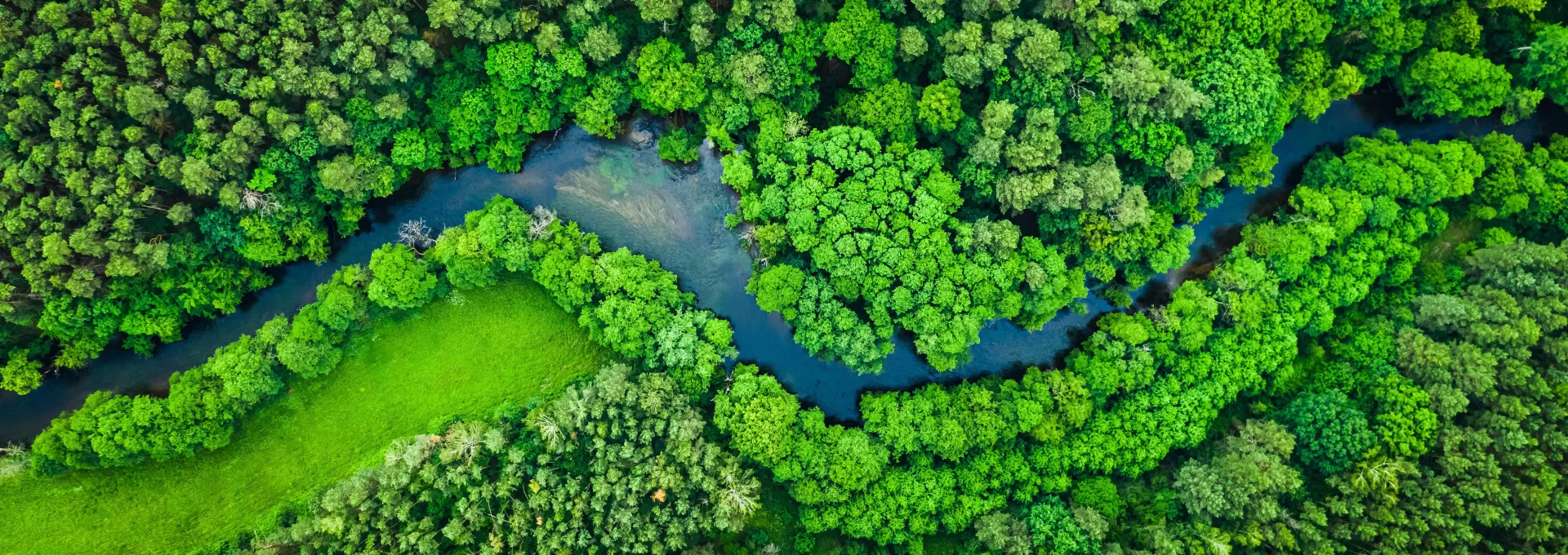 River and green forest in Tuchola natural park, aerial view