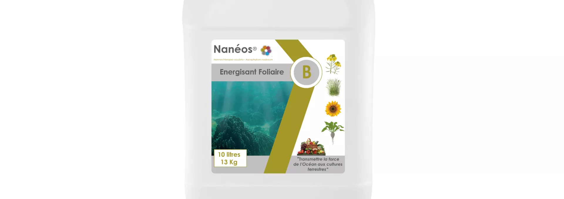 Nanéos B Visual
