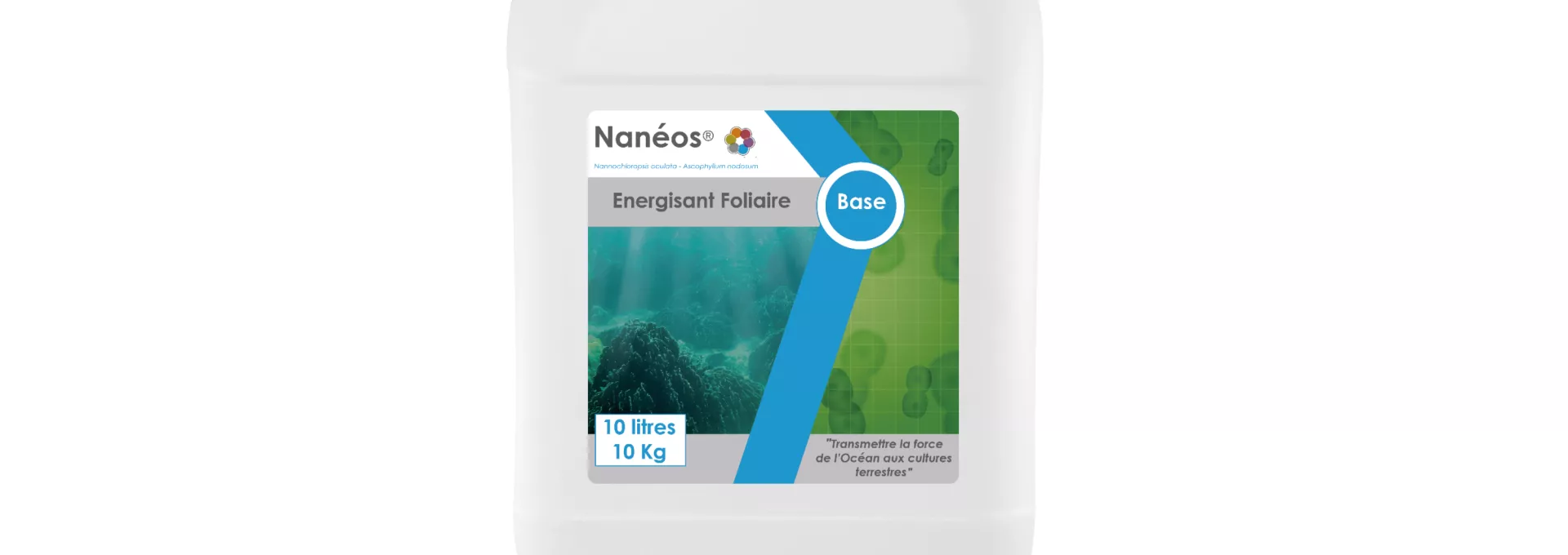 Nanéos Base Visual