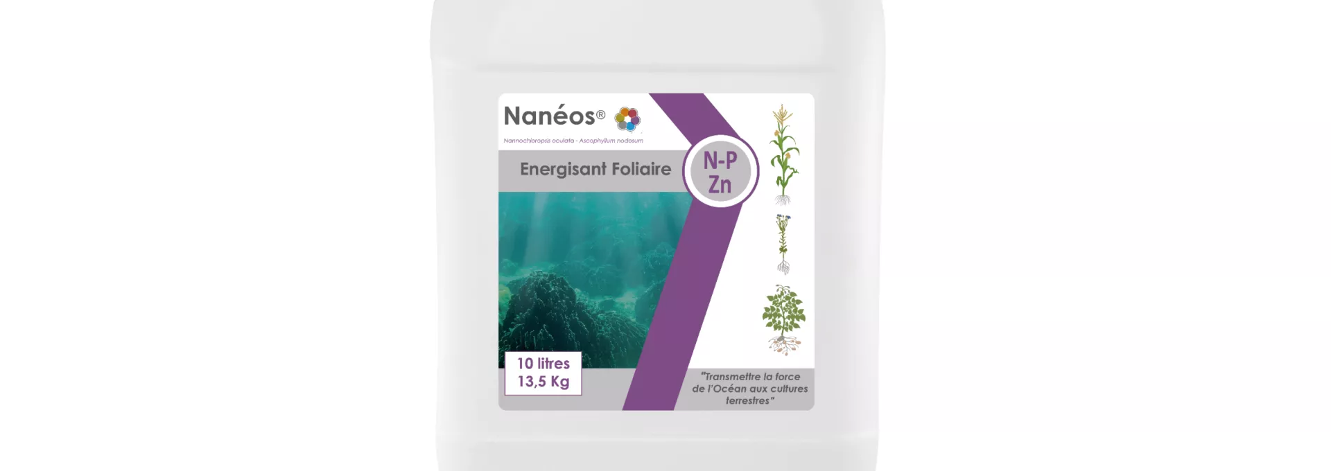 Nanéos NPZn
