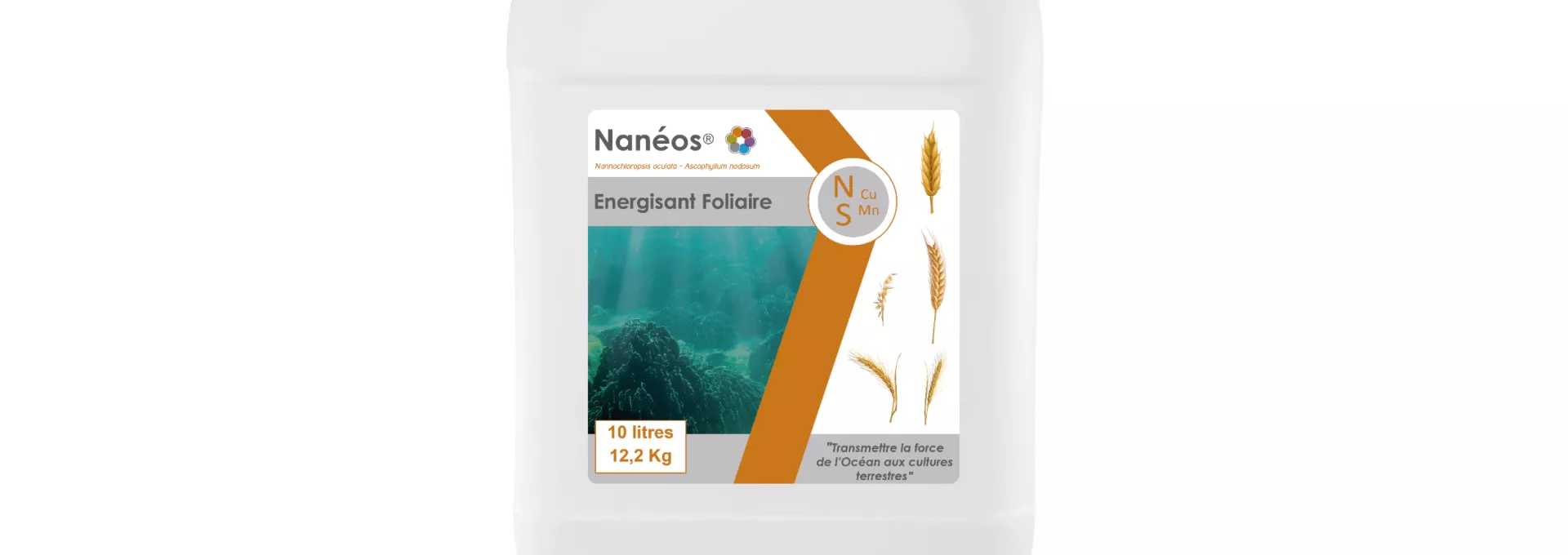 Nanéos NSCuMn