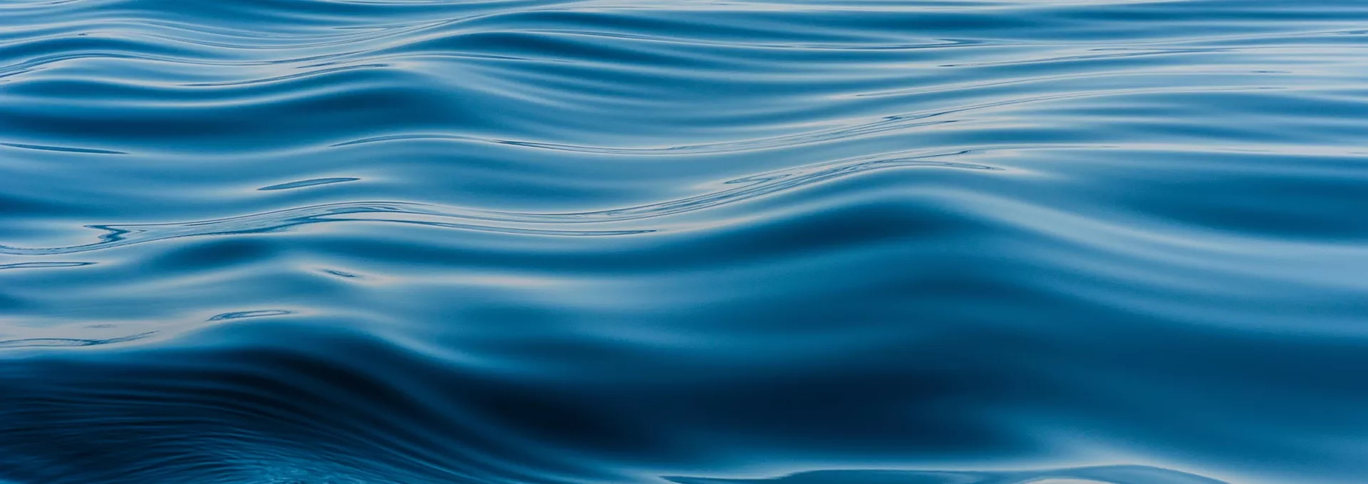 wave on the surface of the lake