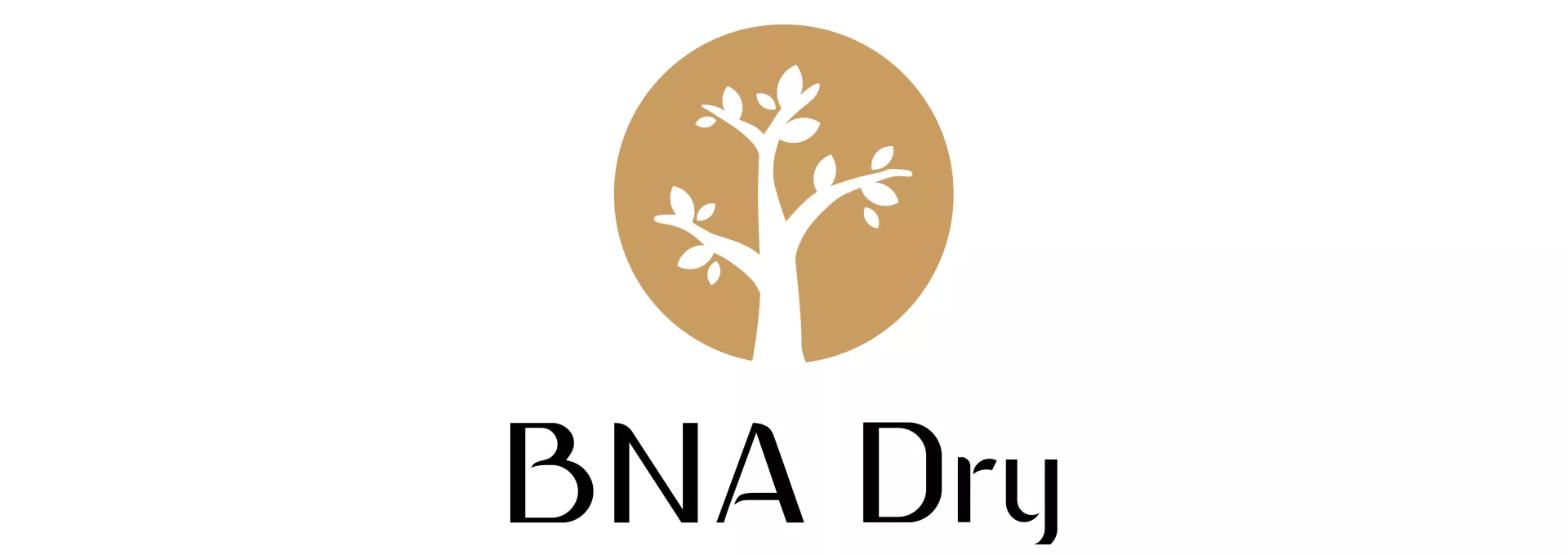 BNA DRY Logo Product