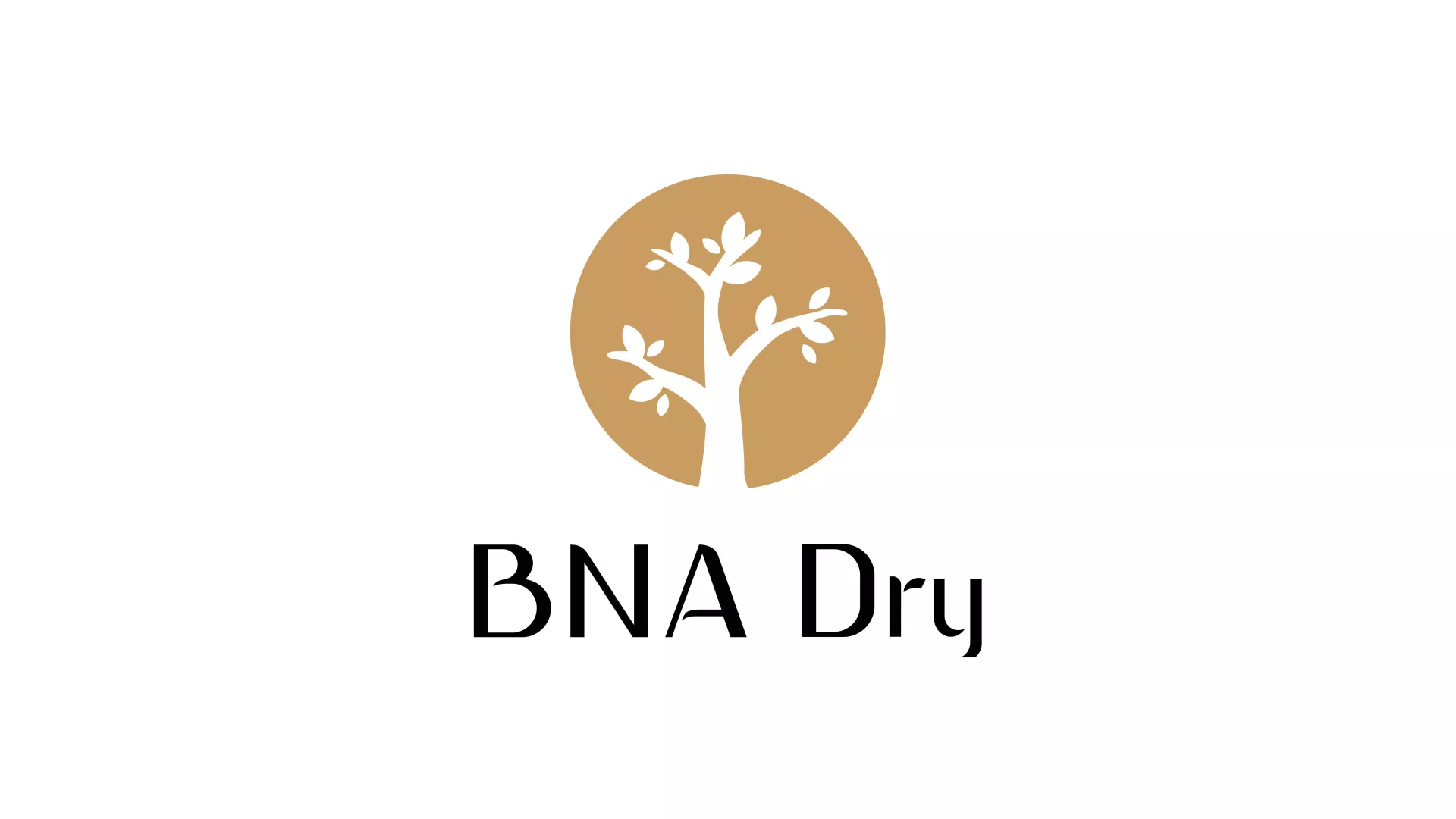 BNA DRY Logo Product