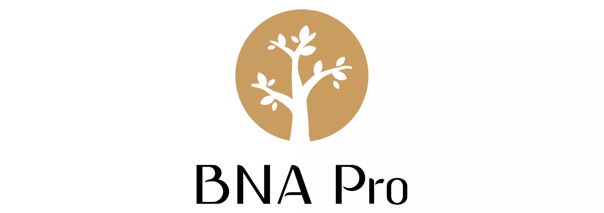 BNA PRO Logo Product