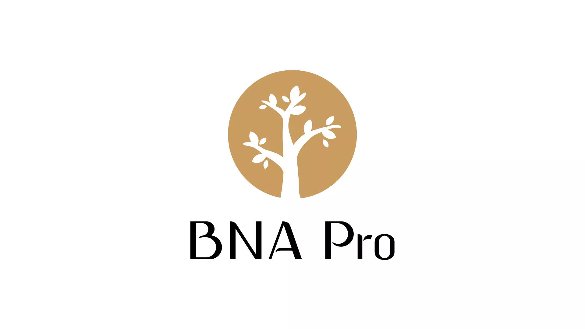 BNA PRO Logo Product