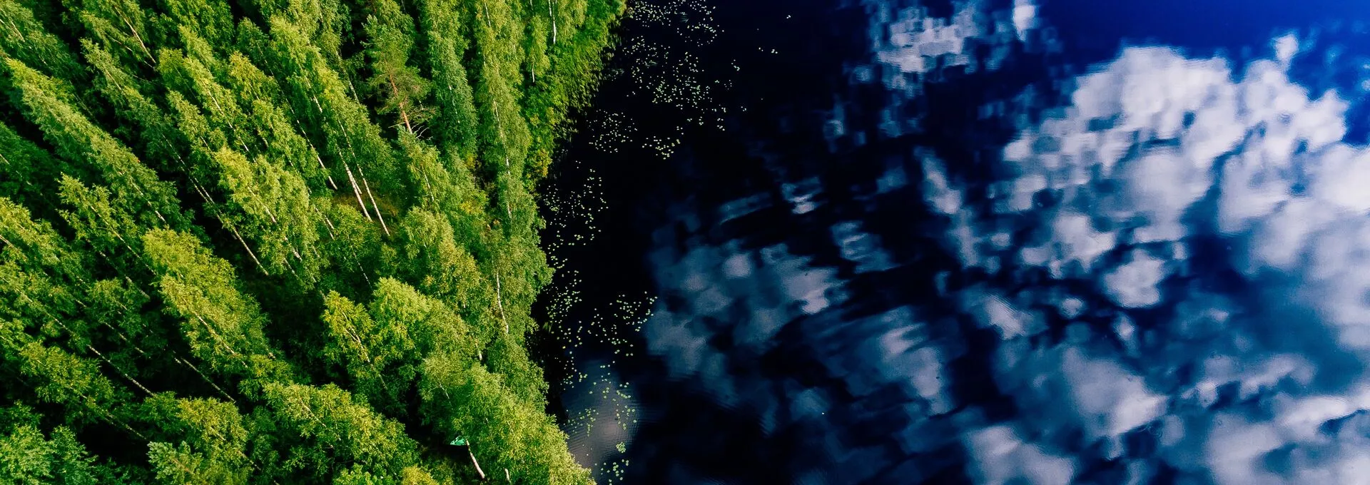 Aerial view of blue lake and green forests on a sunny summer day in Finland