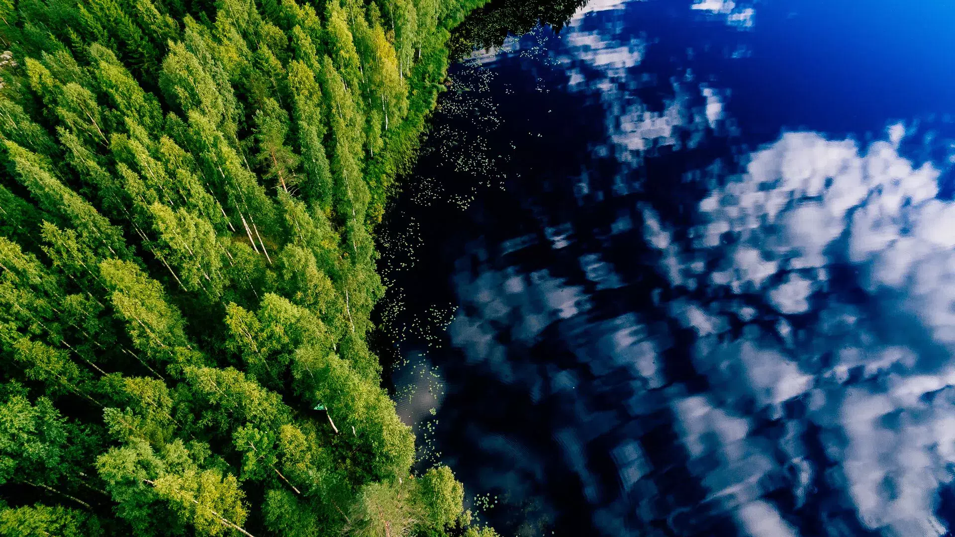 Aerial view of blue lake and green forests on a sunny summer day in Finland