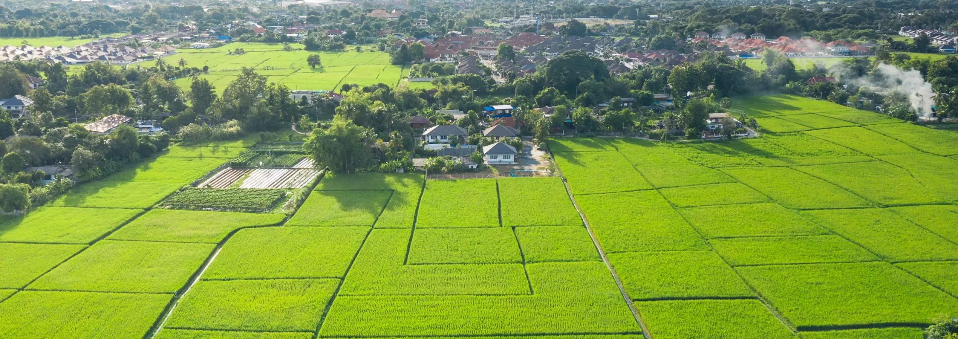 parcelle agricole