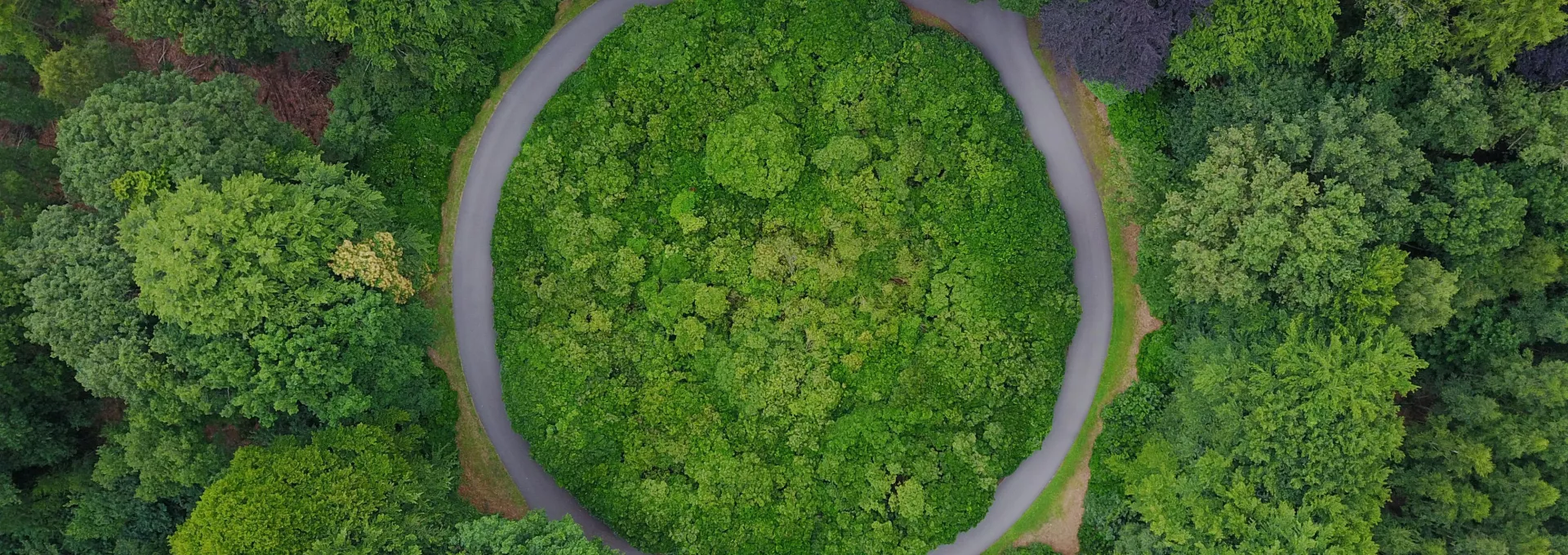 Bird view of a circlular road in a forest