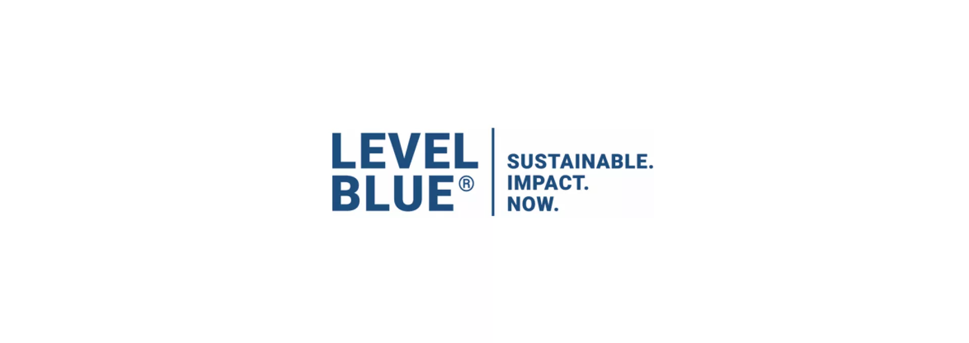 logo LEVEL|BLUE