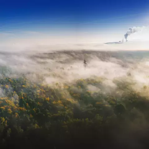 nature and industry