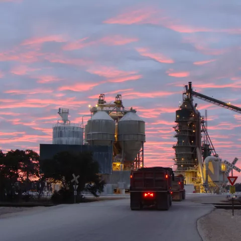lime plant with sunset and truck