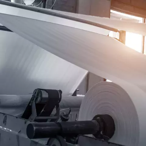 paper and pulp mill