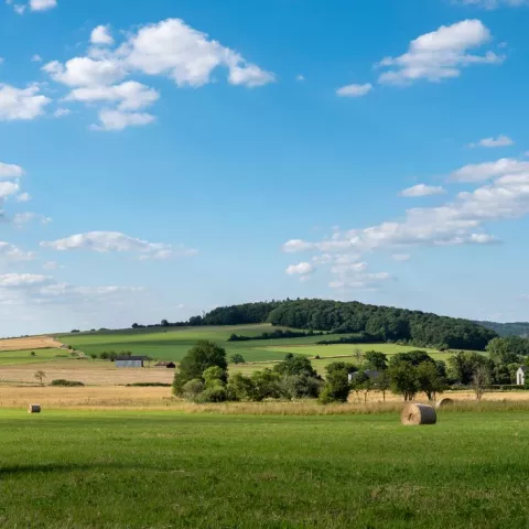 countryside landscape of belgian ardennes region near han sur lesse and rochefort with hay bales under blue sky