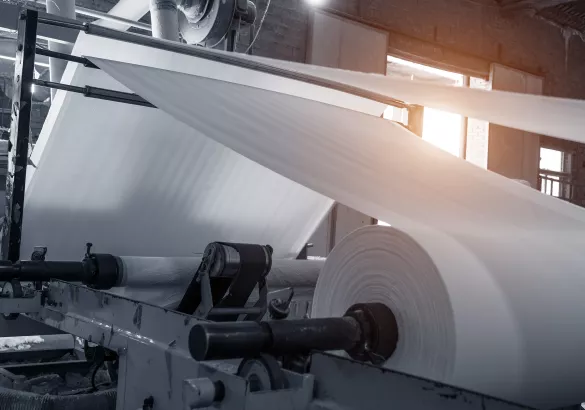 paper roll in creation - Paper and pulp mill