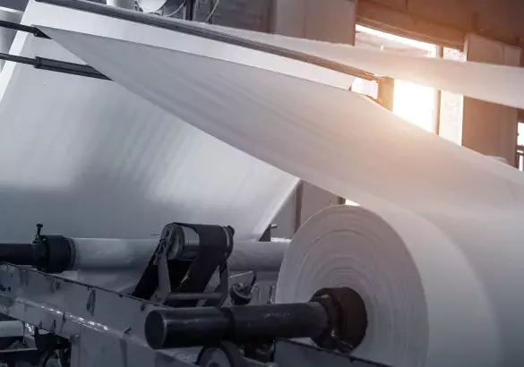 paper and pulp mill