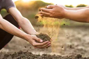 Two hands with soil