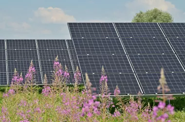 solar panel in a field with flowers