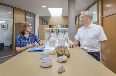 People in an office with rocks in front of them