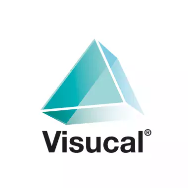 Visucal brand logo