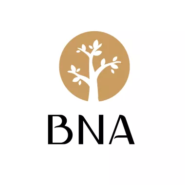 BNA Logo Brand