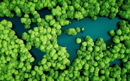 rainforest worldmap