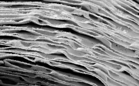 Close-up on pulp paper