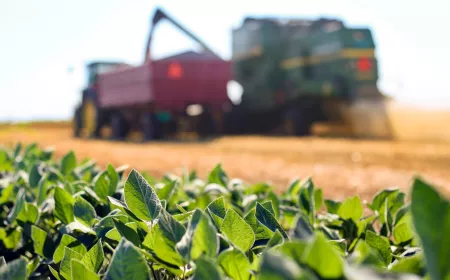 green plants with tractor in background