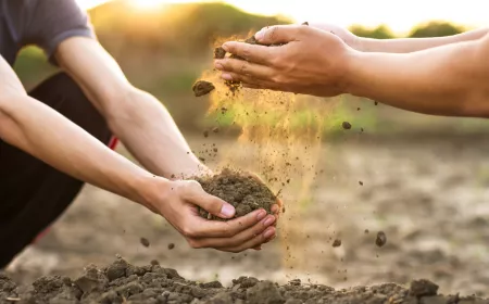 Two hands with soil