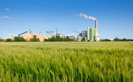 Green factory in the middle of the fields