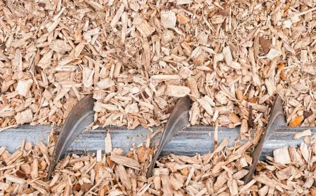 Woodchips