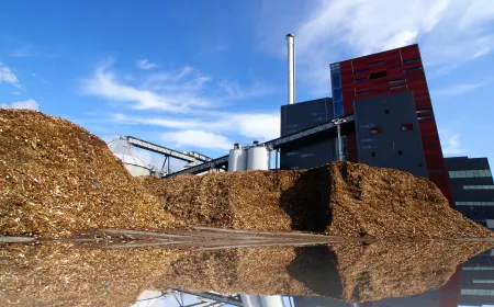 bio power plant with storage of wooden fuel