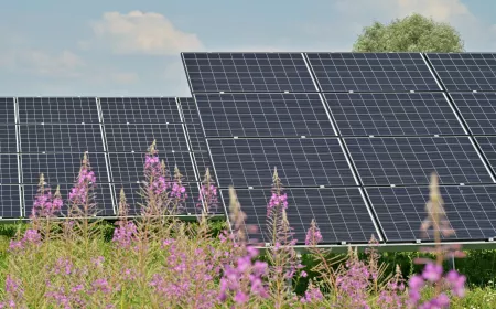 solar panel in a field with flowers