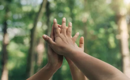 Three hands joining in the wood