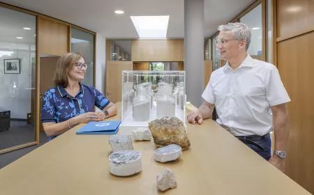 People in an office with rocks in front of them