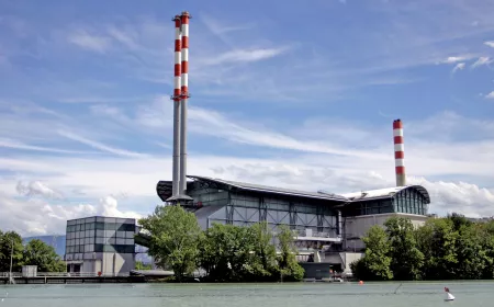 view of a plant in front of water